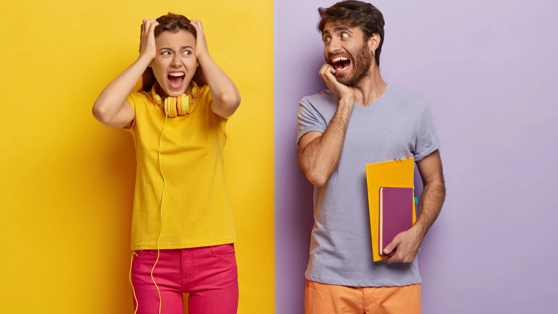 Enquete vs Pesquisa: entendendo as diferenças e quando usar cada uma