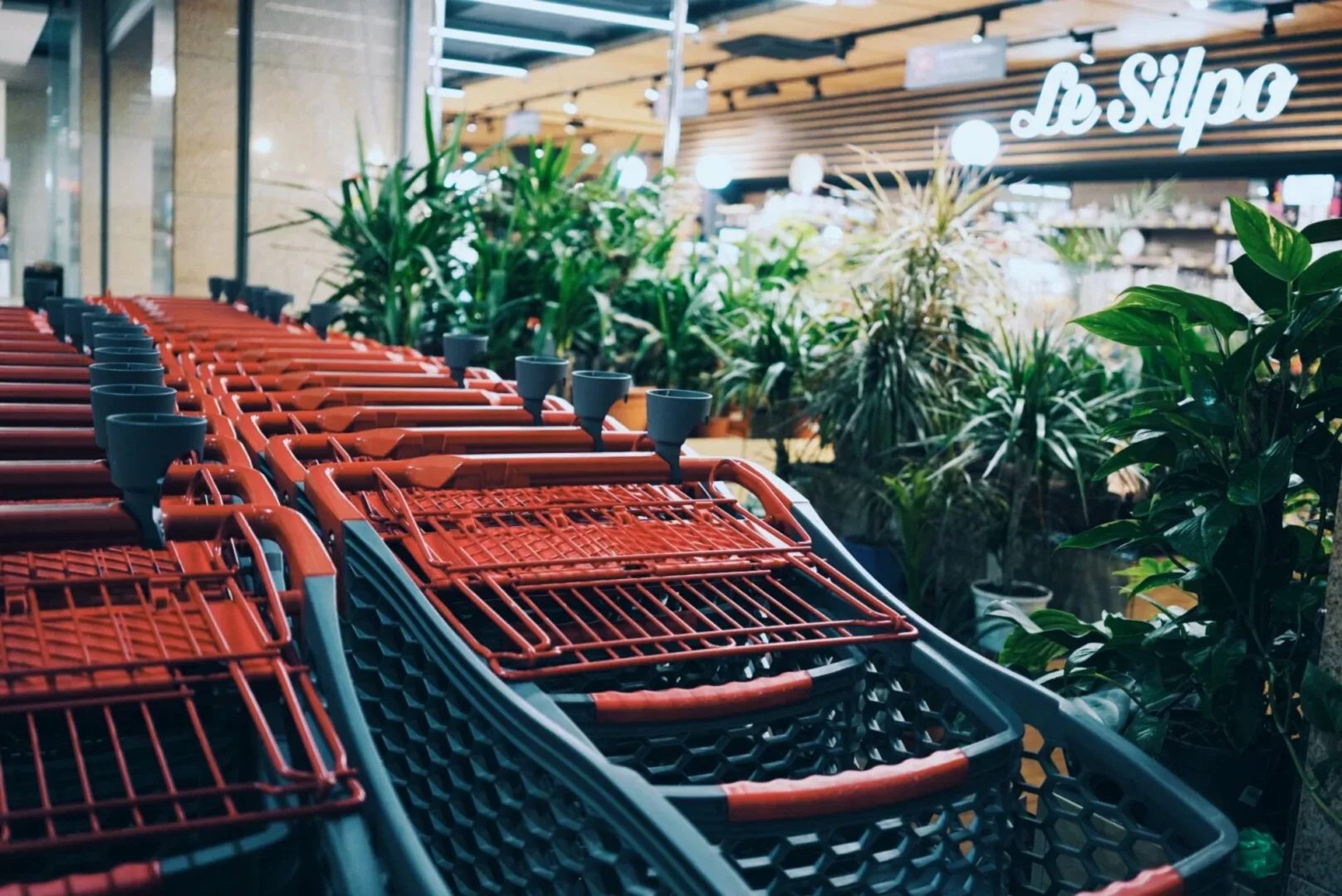 Como usar dados sobre o comportamento do consumidor para conquistar novas audiências?