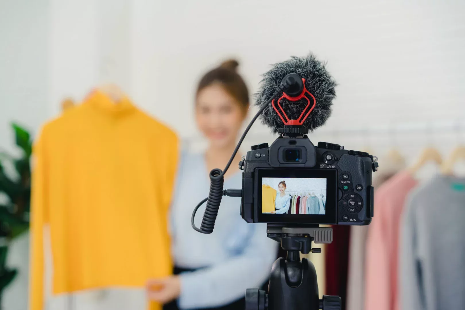 Quais são os tipos de influenciadores digitais?