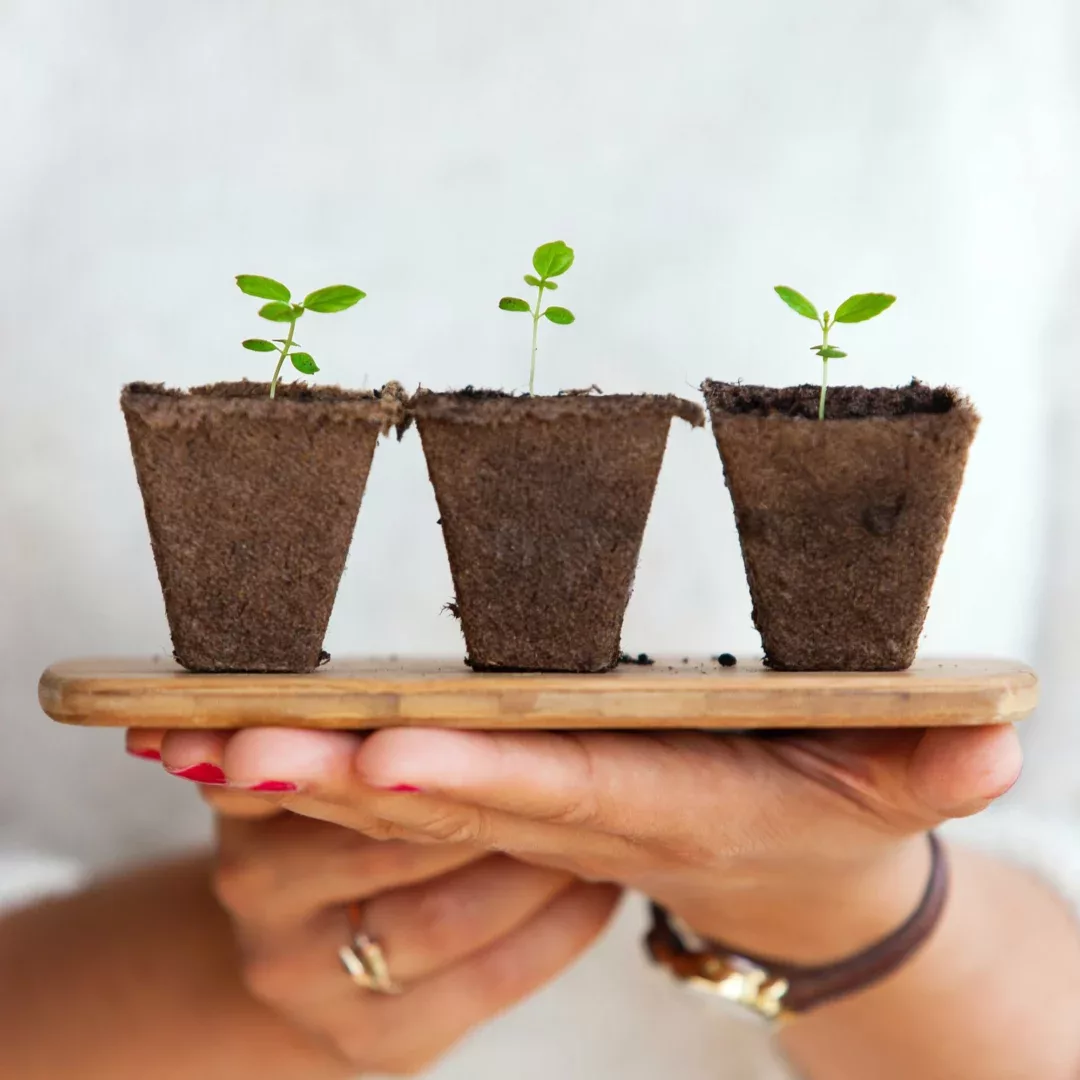 Por que a sustentabilidade importa?
